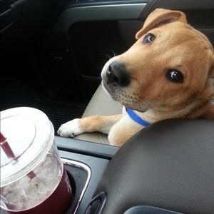 Meet your Posher, Randy